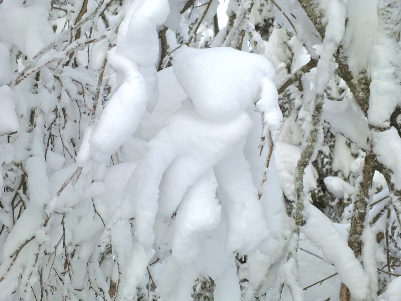 www.tremblant360.com photo. All rights reserved.