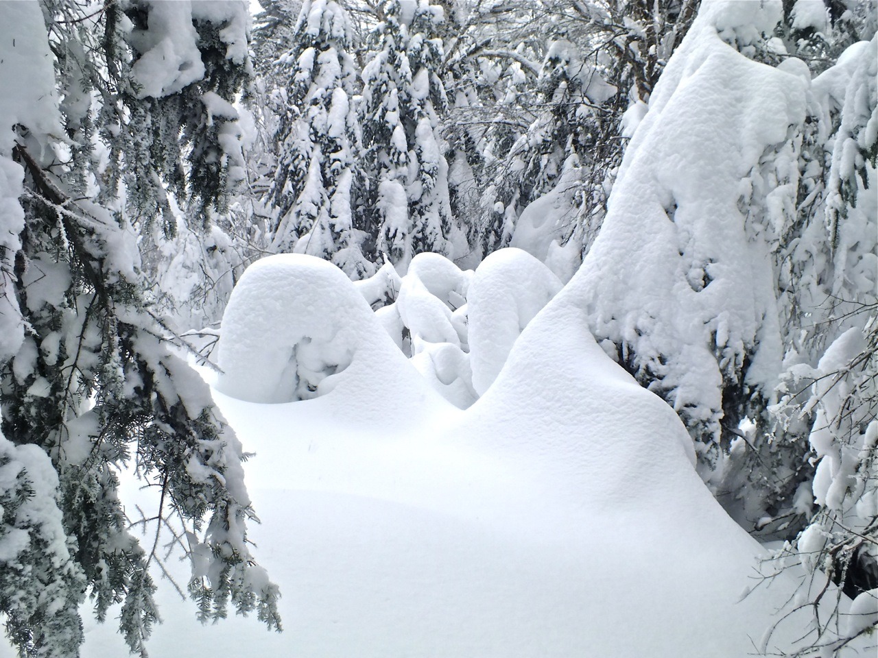 www.tremblant360.com photo. All rights reserved.