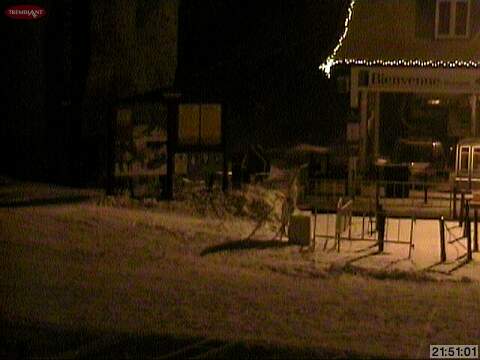 Web Cam Snap Shot Courtesy of Tremblant.ca