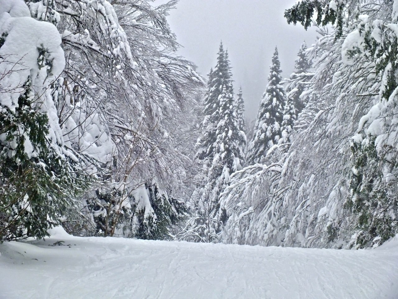 www.tremblant360.com photo. All rights reserved.