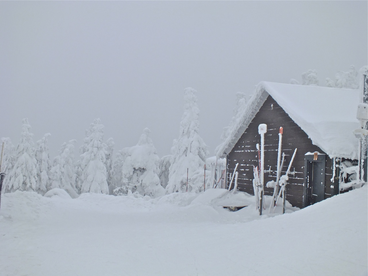 2.25.12PB.26.Summit.Scene.Sample.jpg