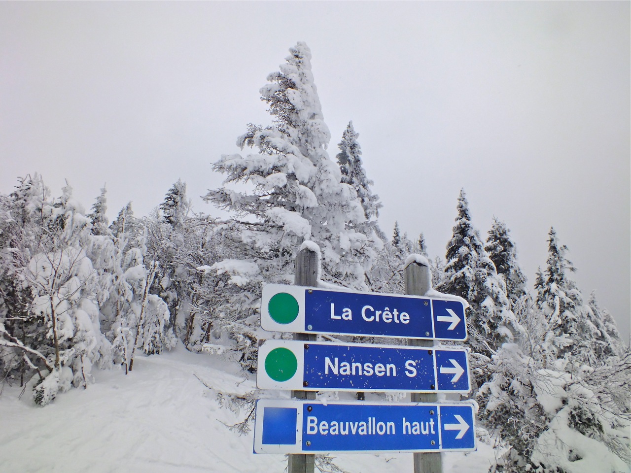 2.27.12.PB.210.Summit.Signs.jpg