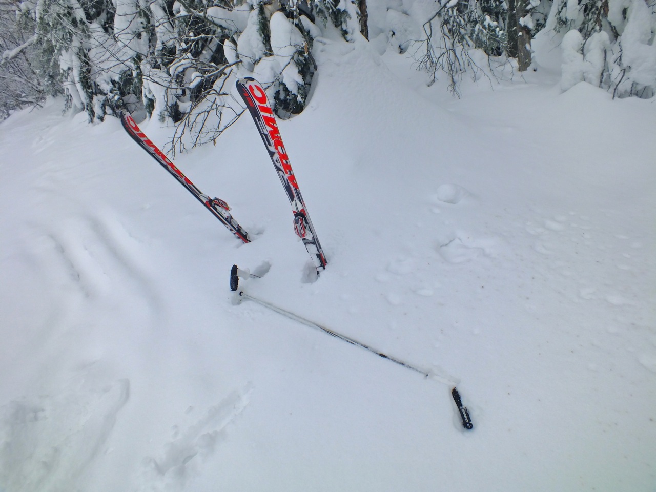 www.tremblant360.com photo. All rights reserved.