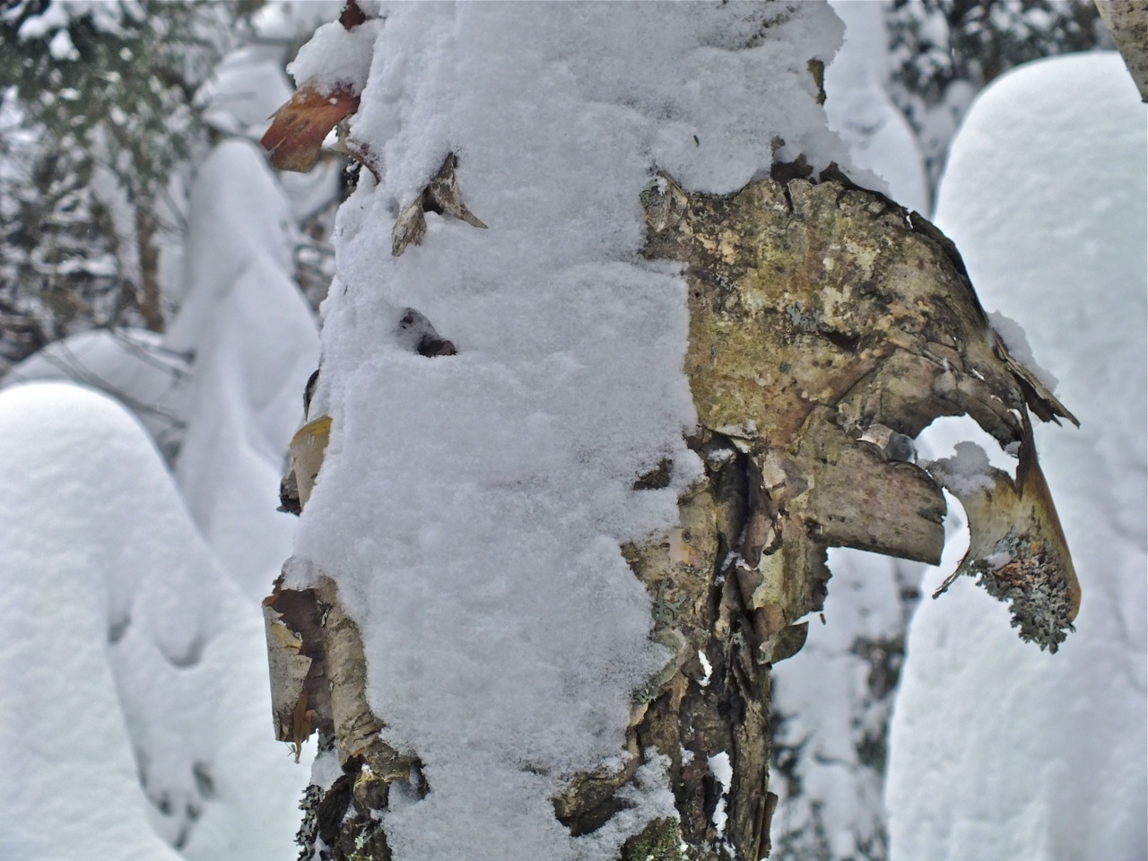 www.tremblant360.com Photo. All rights reserved.