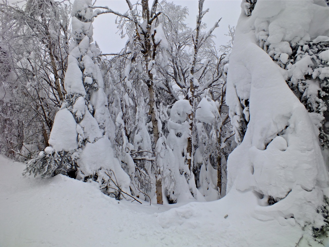 www.Tremblant360.com photo. All rights reserved.