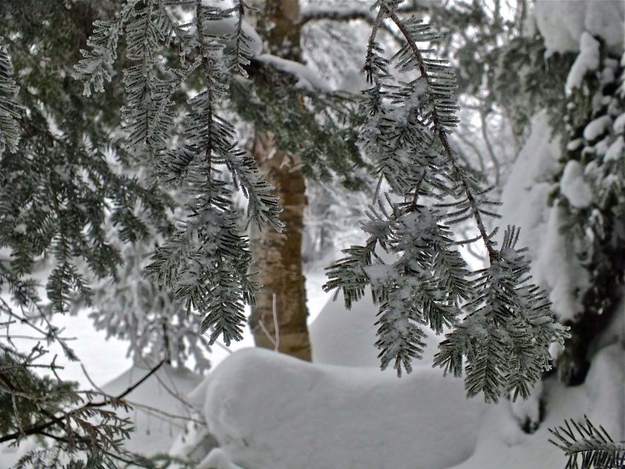 www.Tremblant360.com photo. All rights reserved.