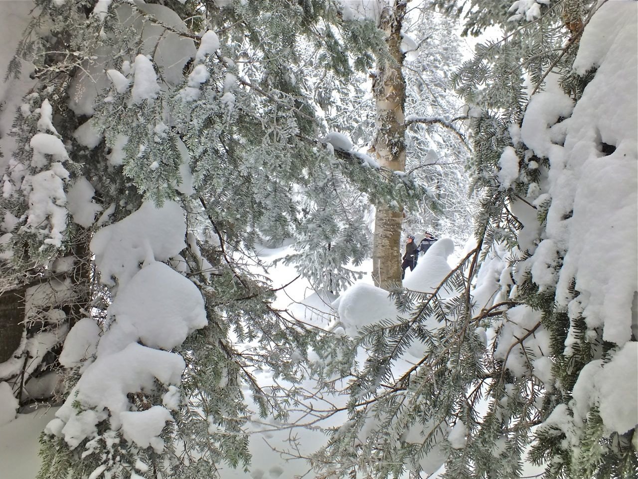 www.tremblant360.com photo. All rights reserved.