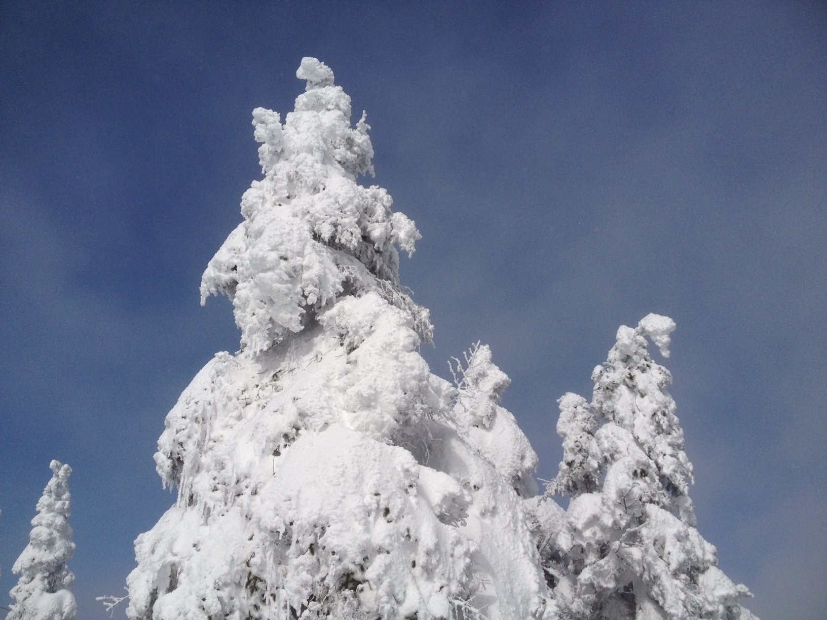 www.tremblant360.com photo. All rights reserved.