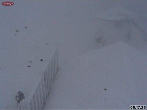 Typical of recent weather, our Summit is in the cloud, but also typical, we have gotten a bit of fresh Snow with it!