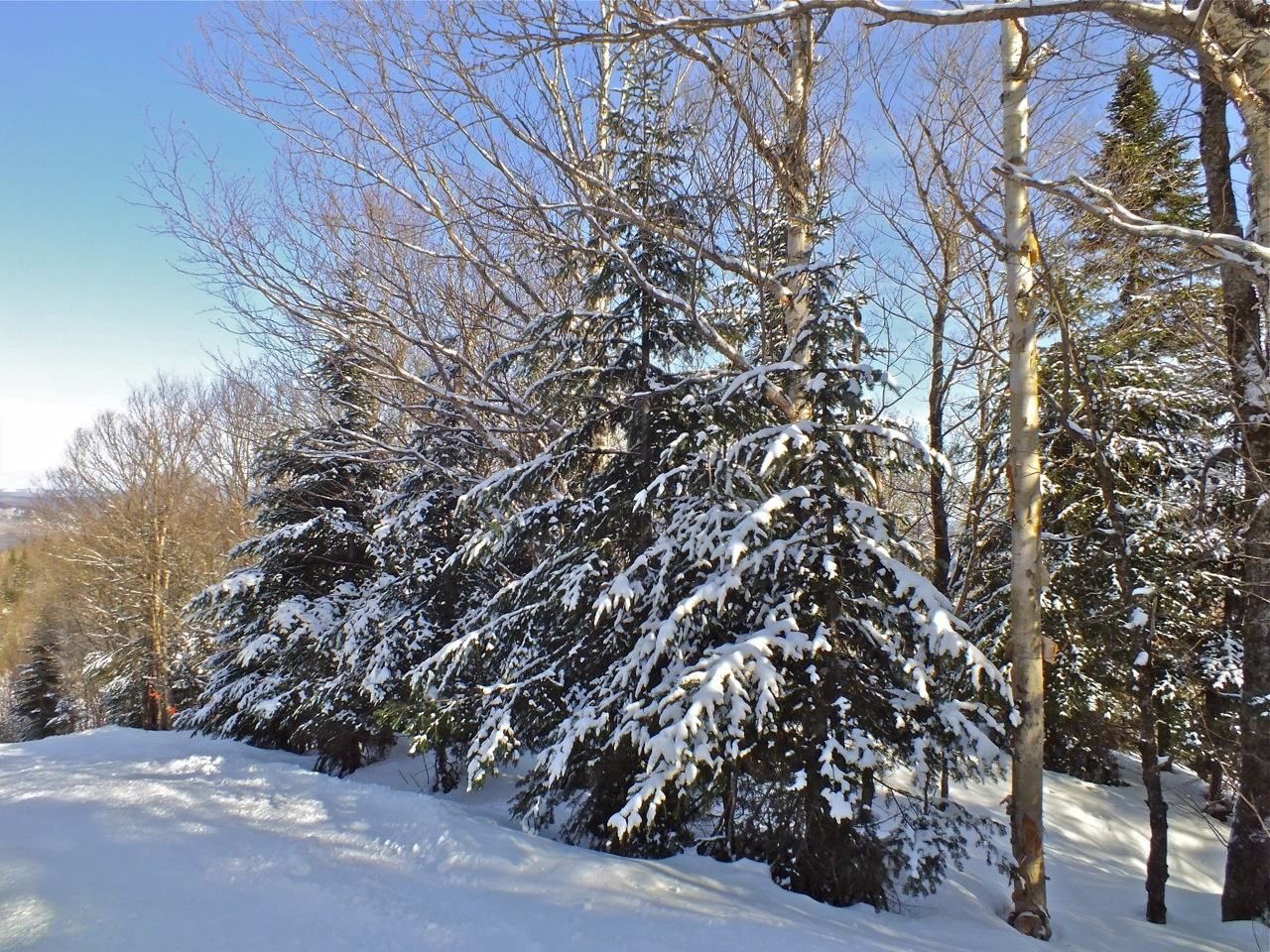 www.tremblant360.com photo. All rights reserved.