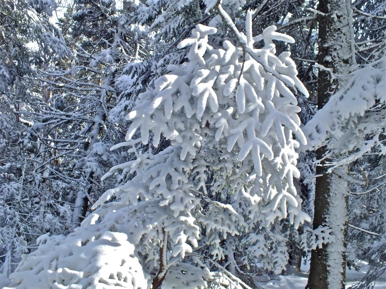 www.tremblant360.com photo. All rights reserved.