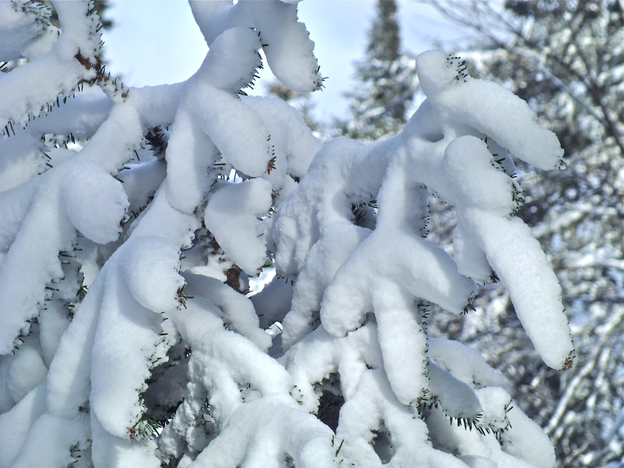 www.tremblant360.com photo. All rights reserved.