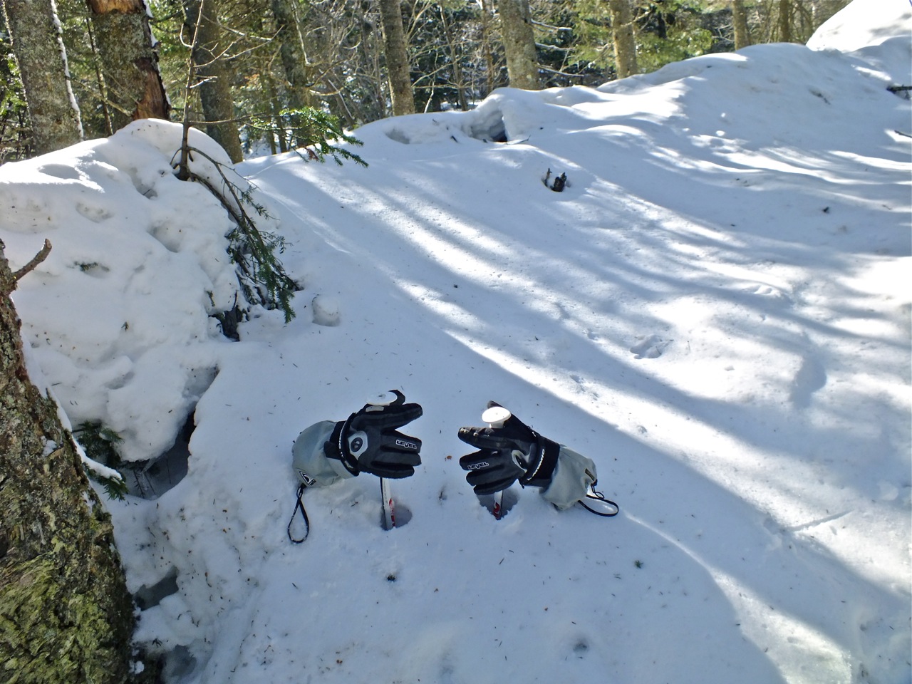 www.tremblant360.com Photo. All rights reserved.