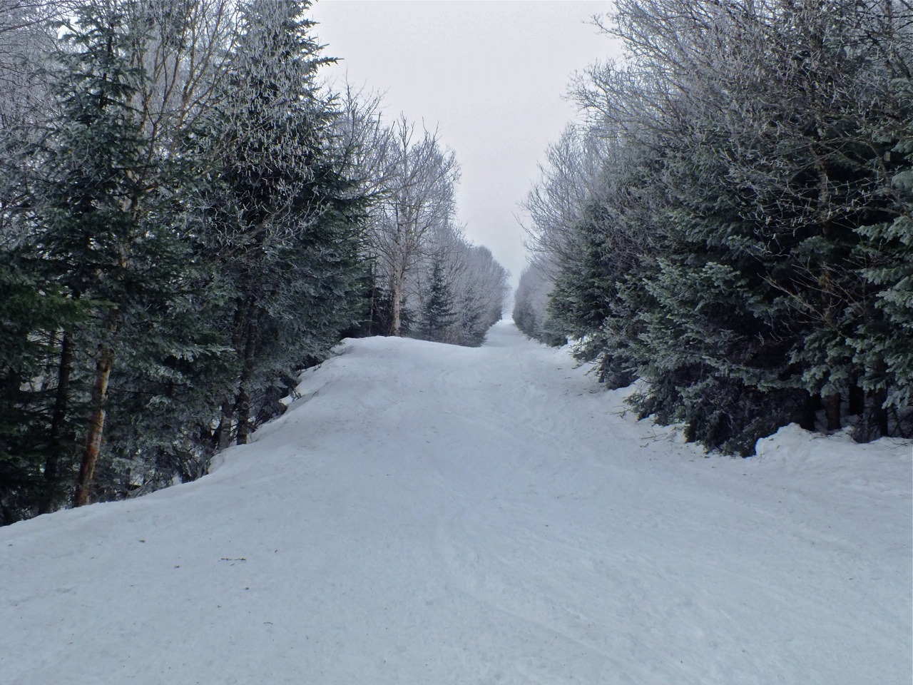 www.tremblant360.com photo. All rights reserved.