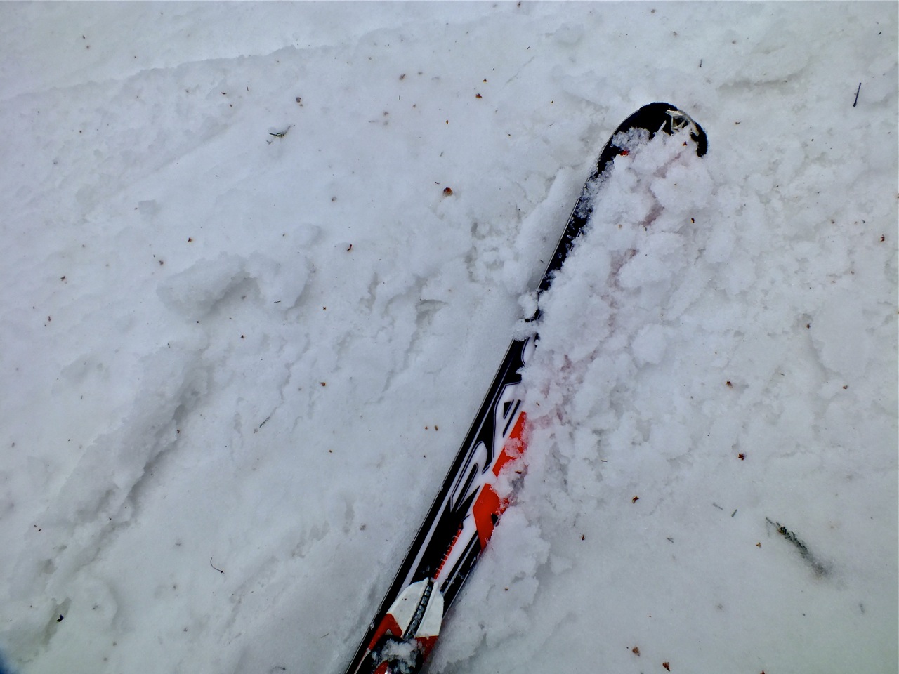 www.tremblant360.com photo. All rights reserved.