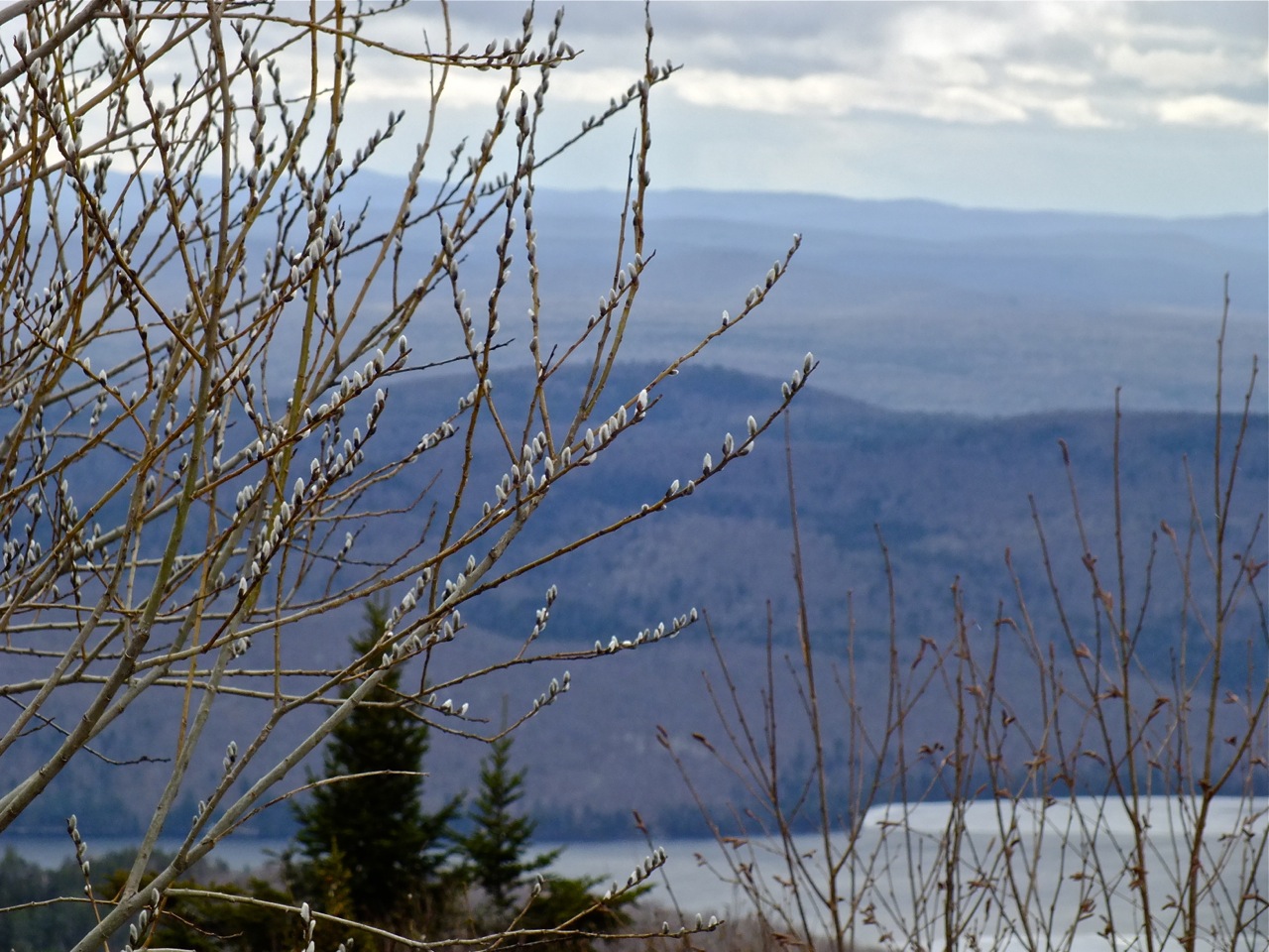 www.tremblant360.com photo. All rights reserved.
