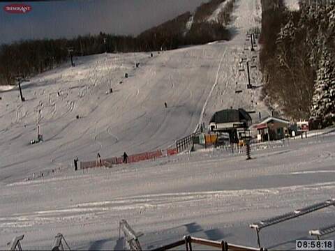 Great Carving plus Sunshine!
