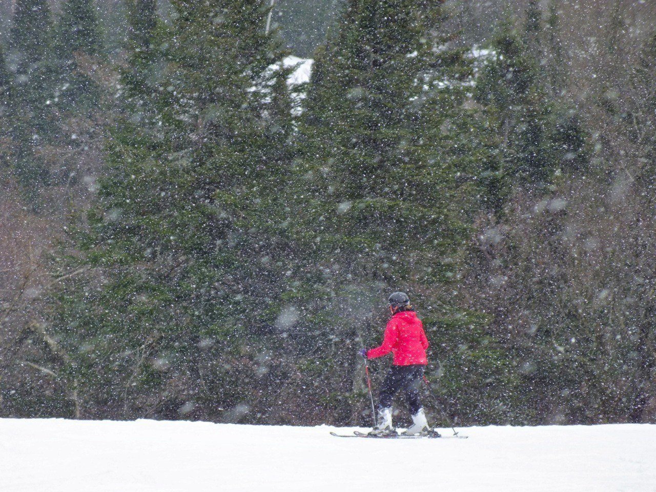 www.tremblant360.com photo. All rights reserved.