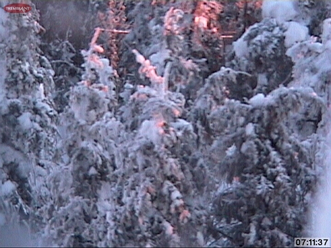 Mother Natures Art. Looking down and North from summit. You can see the cables of the Lowell Thomas Chair Lift crossing the bckground.