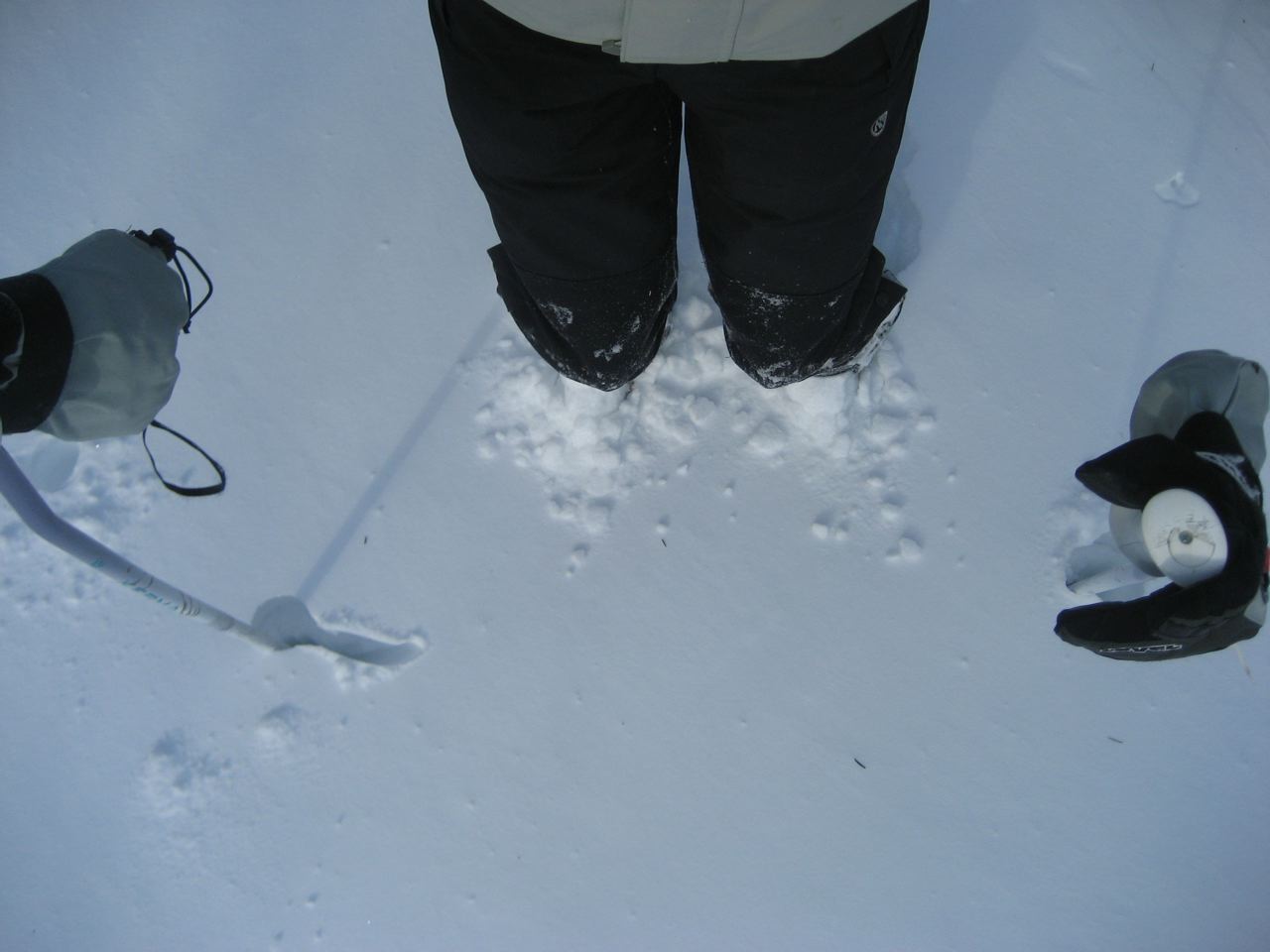 I hope you think this enough snow for you. It may not be Whistler, but Hey, all things considered, we think it's pretty cool!