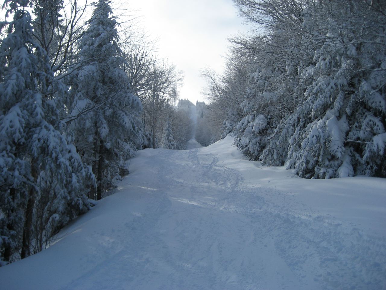 You don't even need to be a Skier to appreciate the Beauty of this pic.