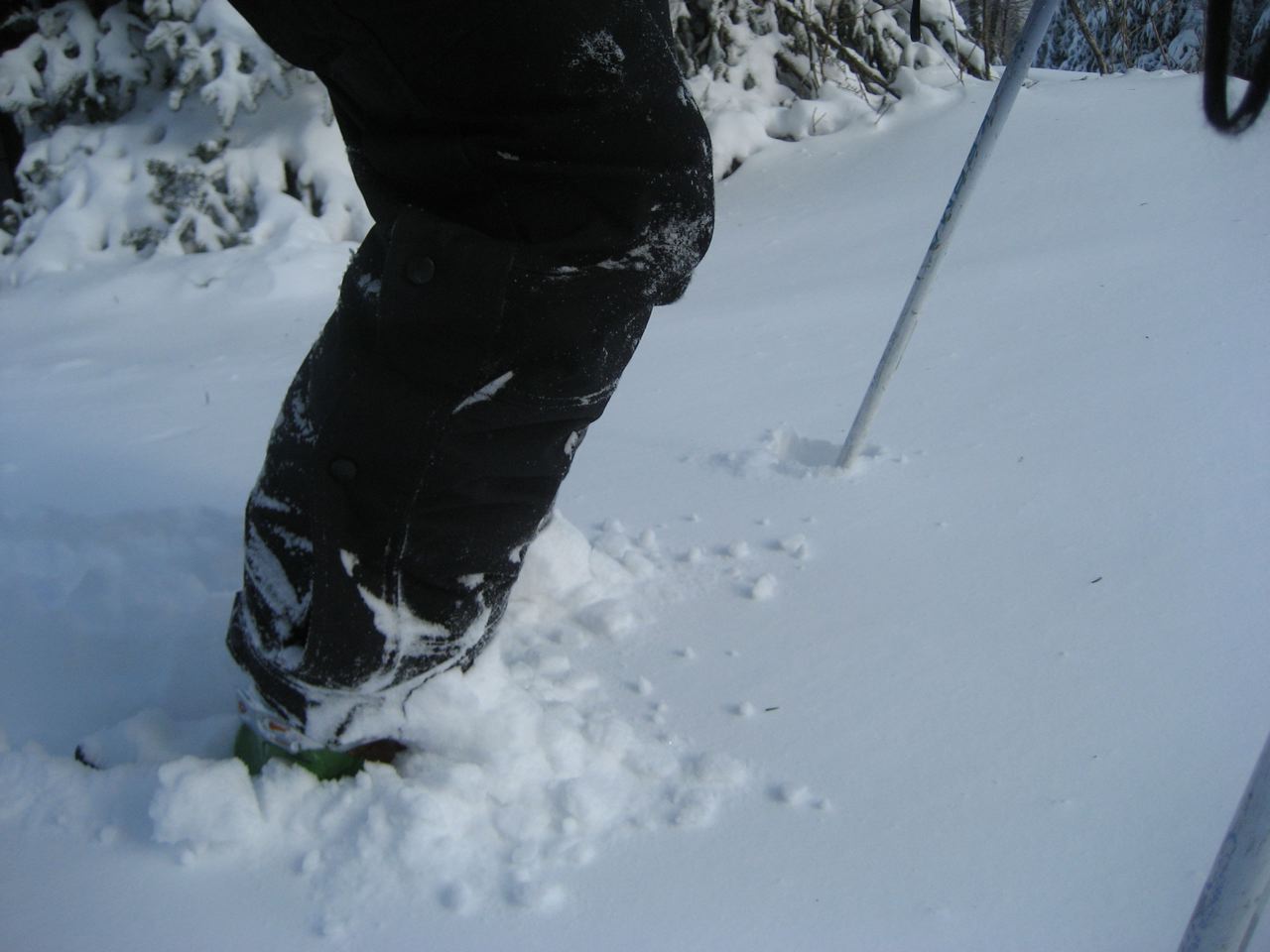 Yes, there are skis under all that Snow!