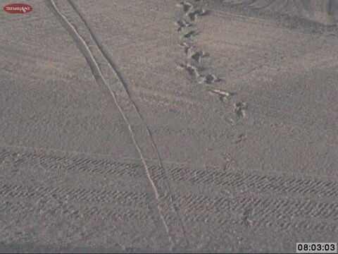 The surface looks good, so now we need to get out there and find out what is underneath.