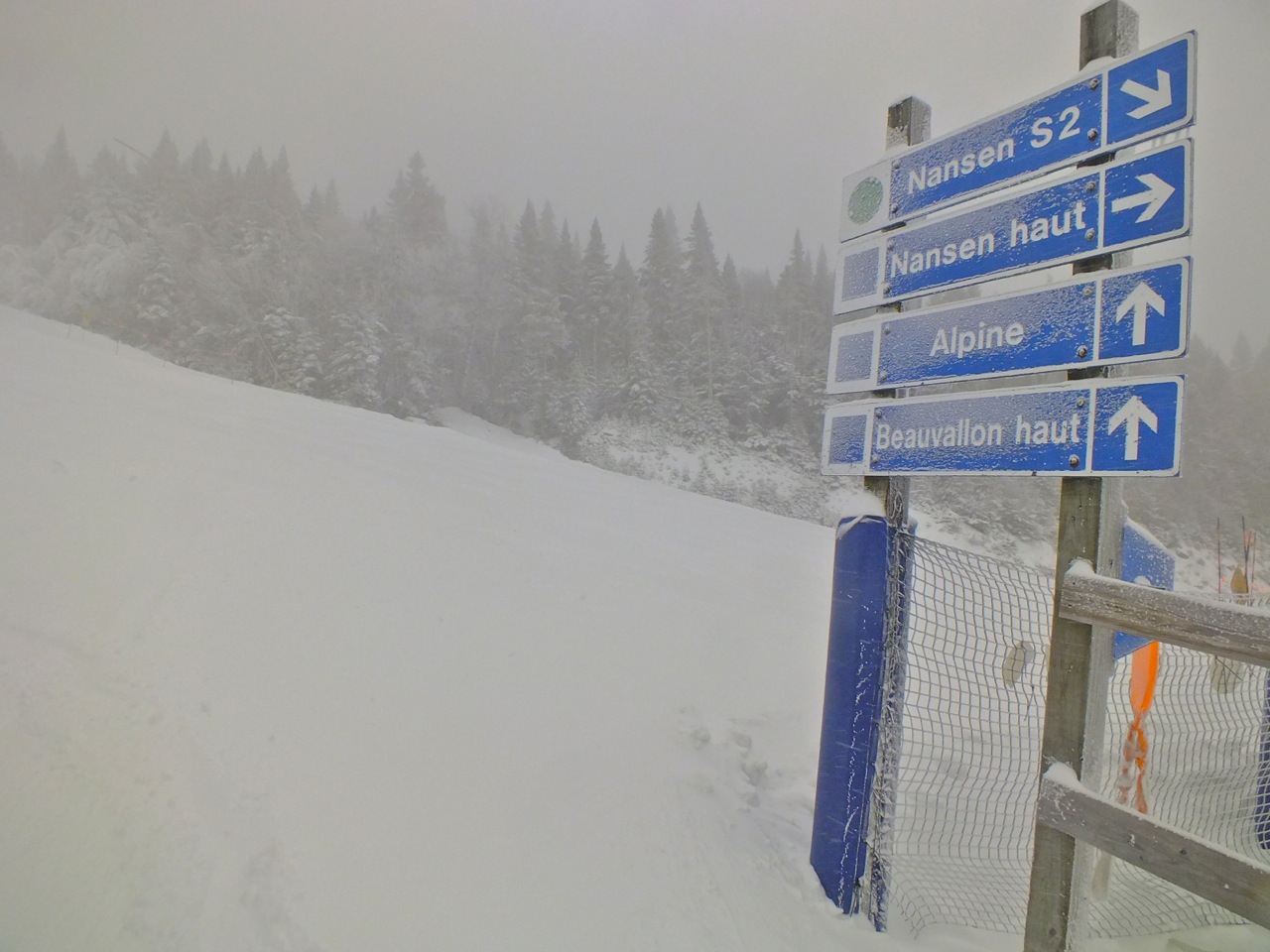 11.28.12.Nansen.S.Snow.jpg
