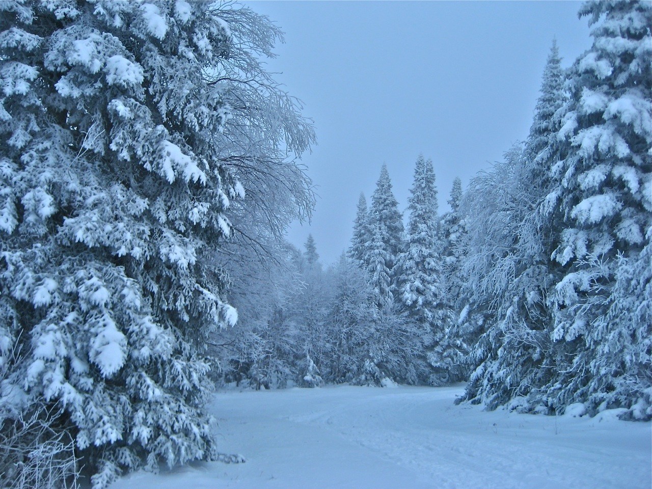 www.tremblant360.com photo. All rights reserved.