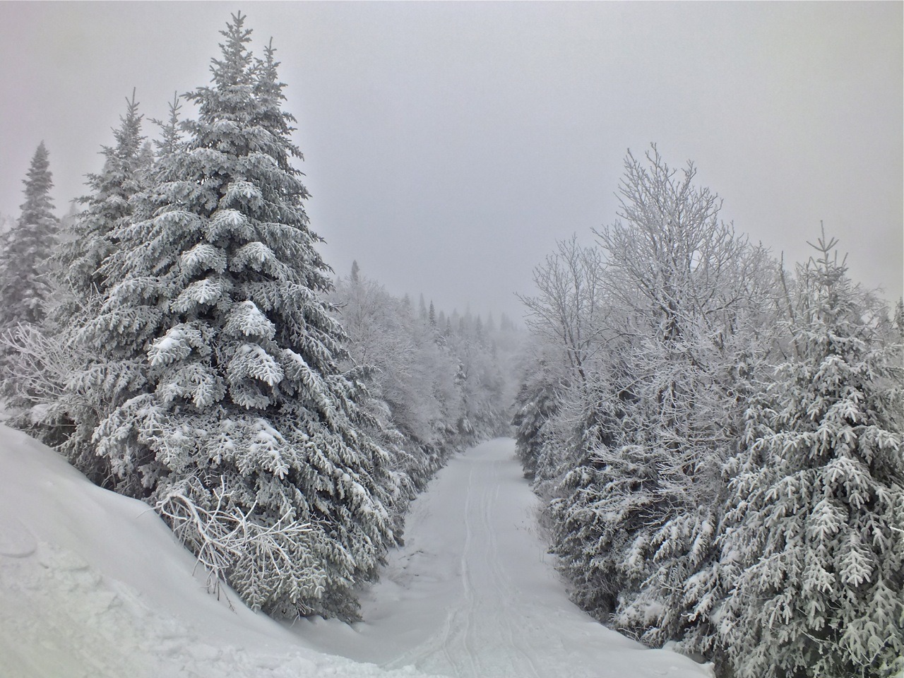 www.tremblant360.com photo. All rights reserved.