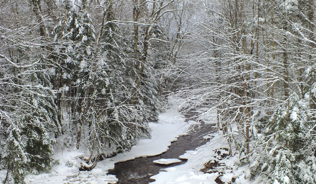 www.tremblant360.com photo. All rights reserved.