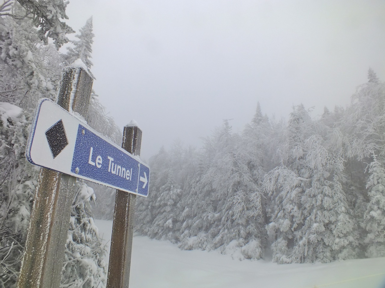 www.tremblant360.com photo. All rights reserved.