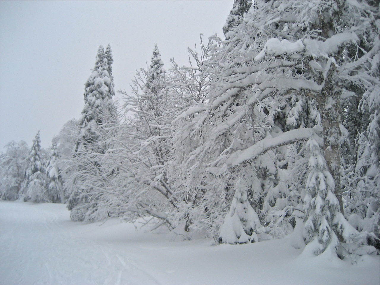 www.tremblant360.com photo. All rights reserved.