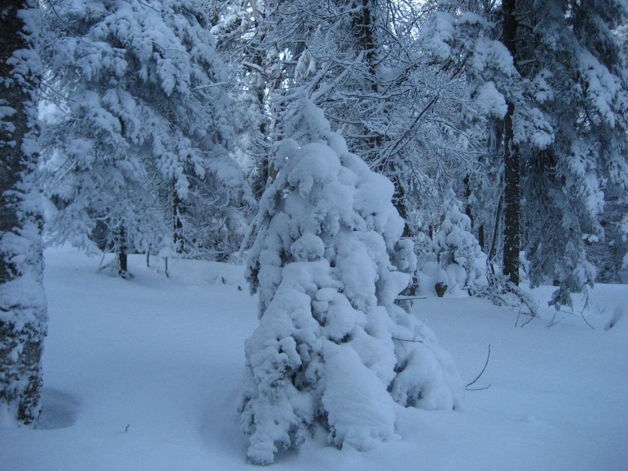 www.tremblant360.com photo. All rights reserved.