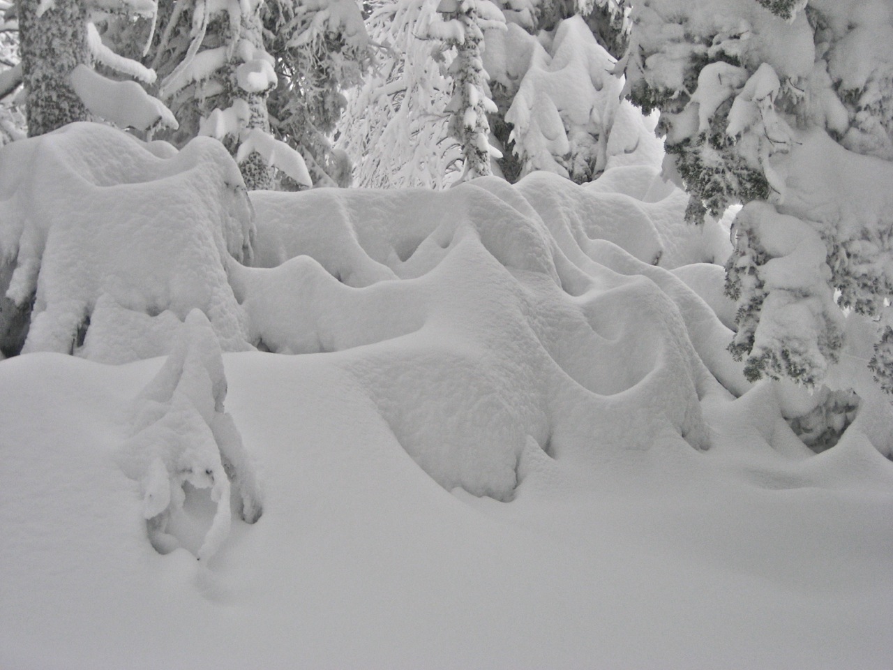 www.tremblant360.com photo. All rights reserved.