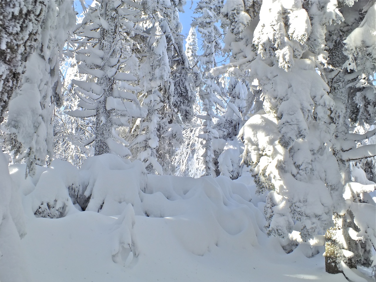 www.tremblant360.com photo. All rights reserved.