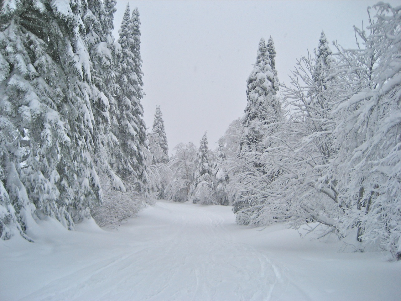 www.tremblant360.com photo. All rights reserved.