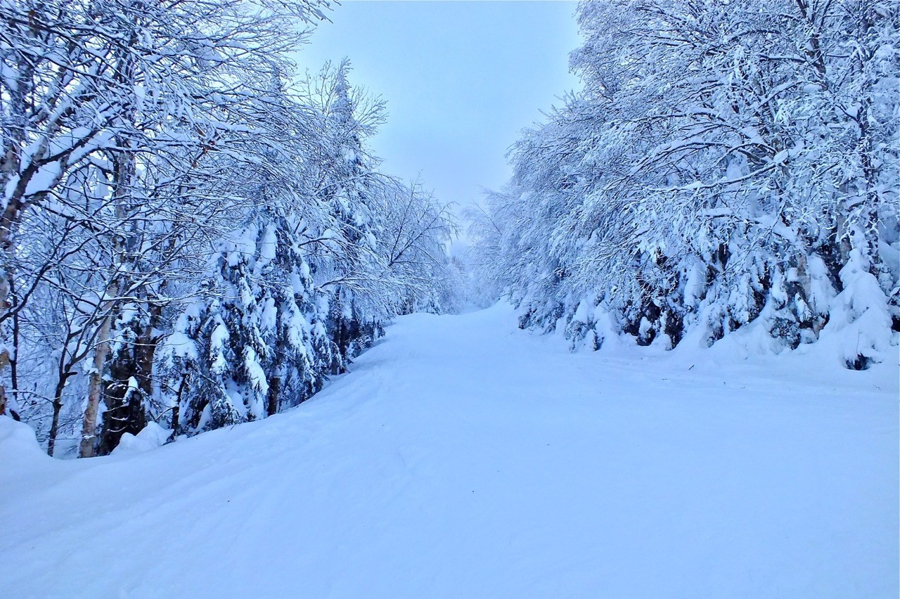 www.Tremblant360.com photo. All rights reserved.