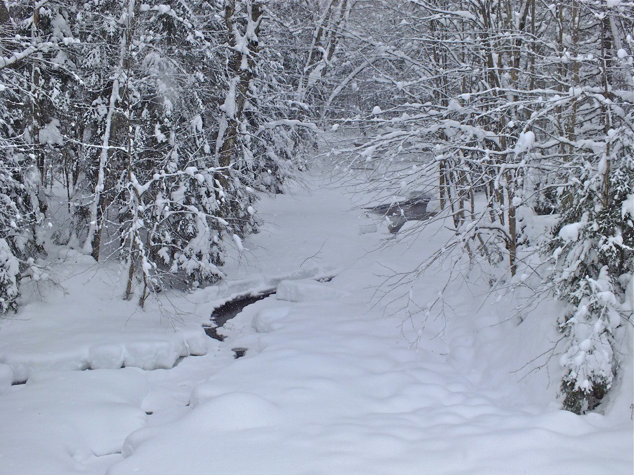 www.tremblant360.com photo. All rights reserved.