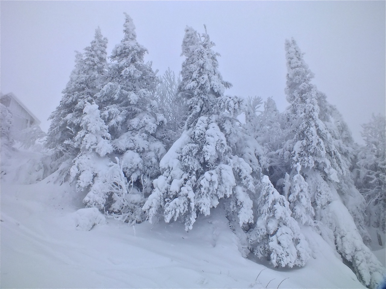 www.tremblant360.com photo. All rights reserved.