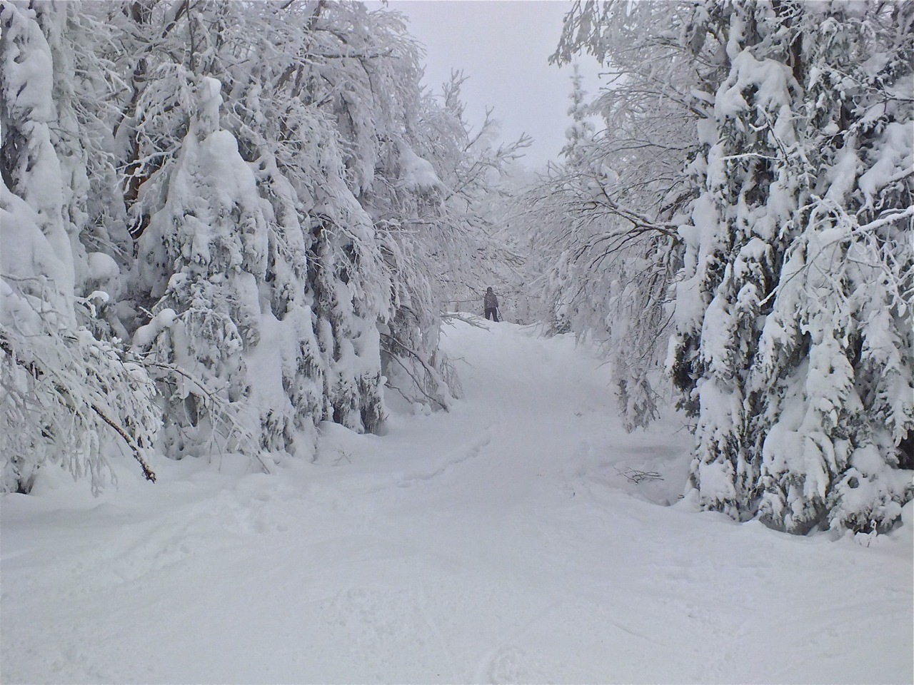 www.tremblant360.com photo. All rights reserved.