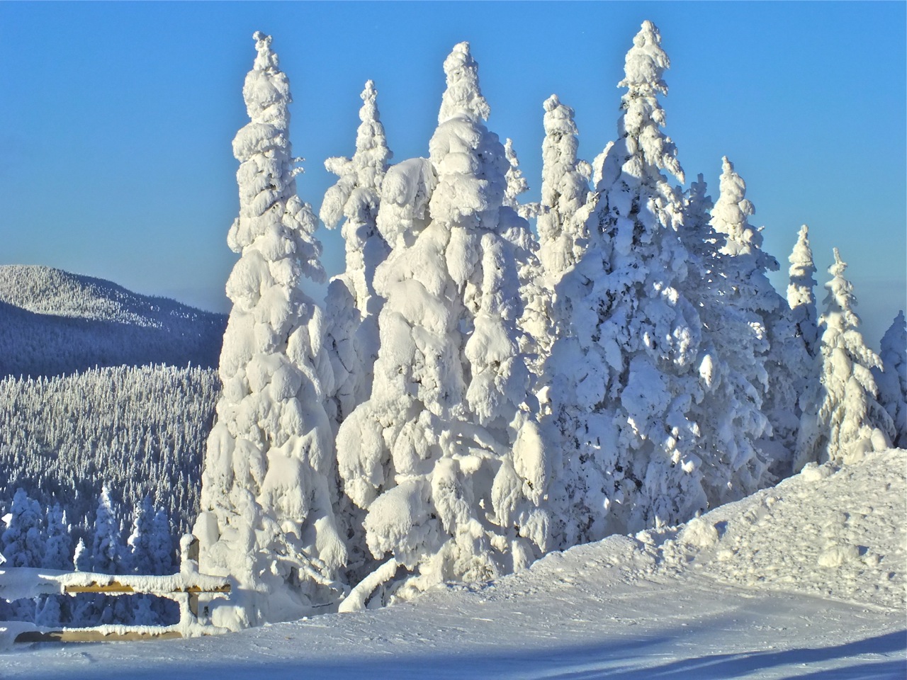 www.tremblant360.com photo. All rights reserved.
