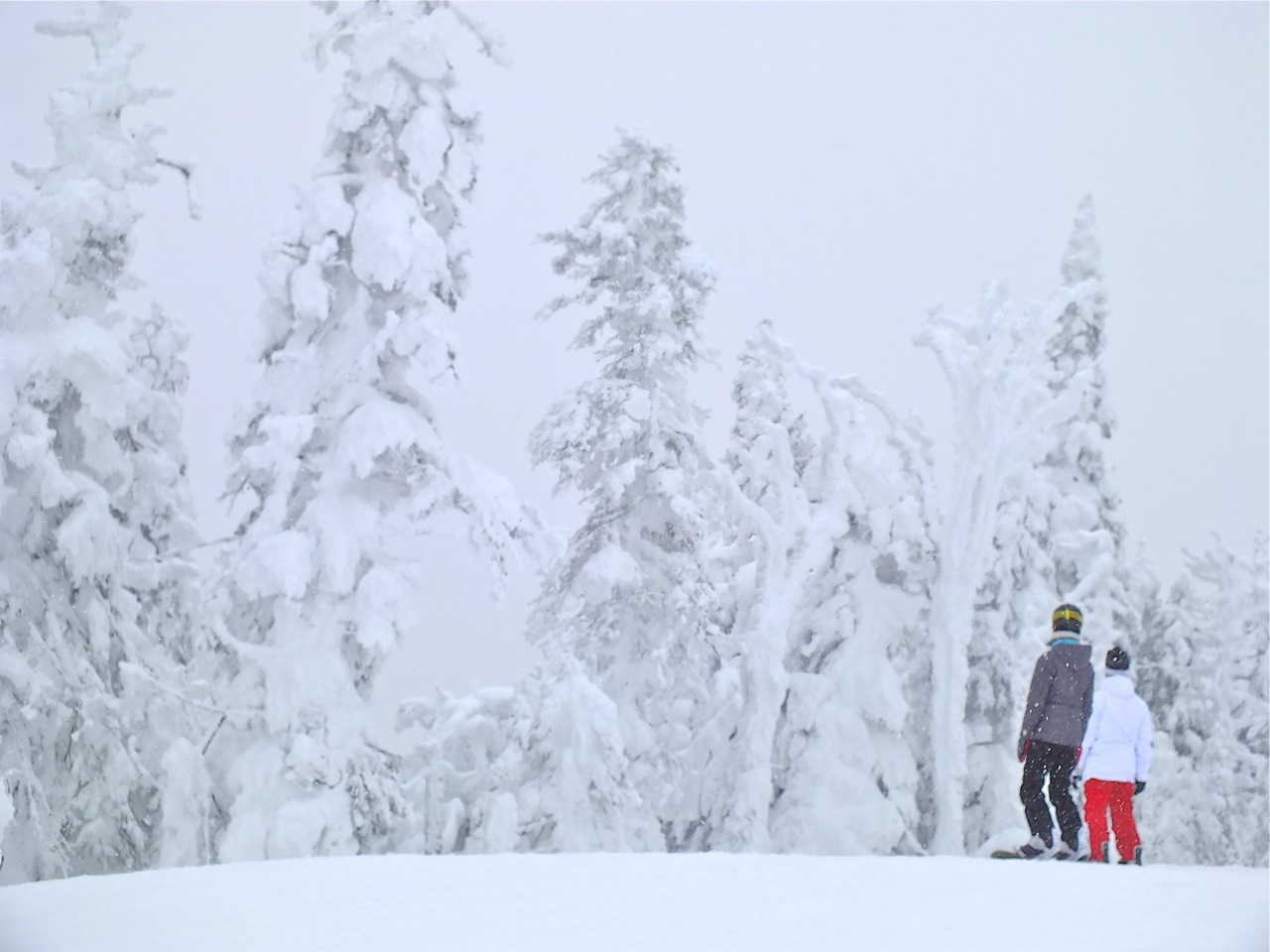 www.tremblant360.com photo. All rights reserved.