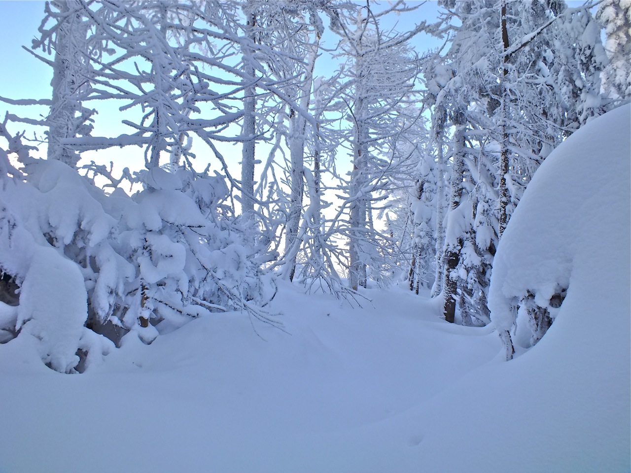 www.tremblant360.com photo. All rights reserved.