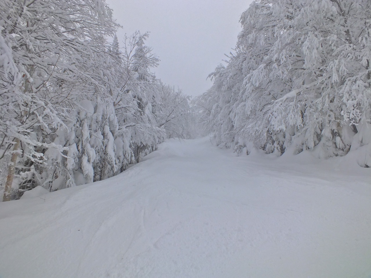 www.tremblant360.com photo. All rights reserved.