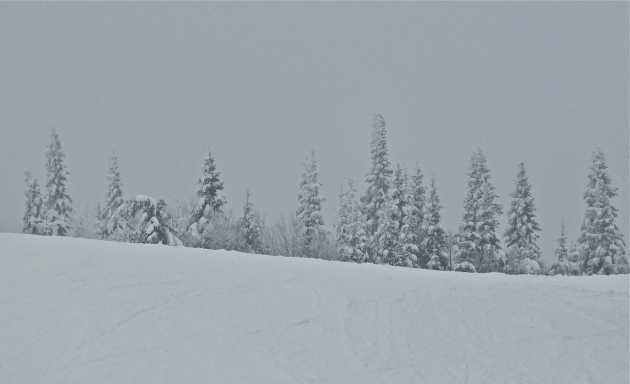 www.tremblant360.com photo. All rights reserved.