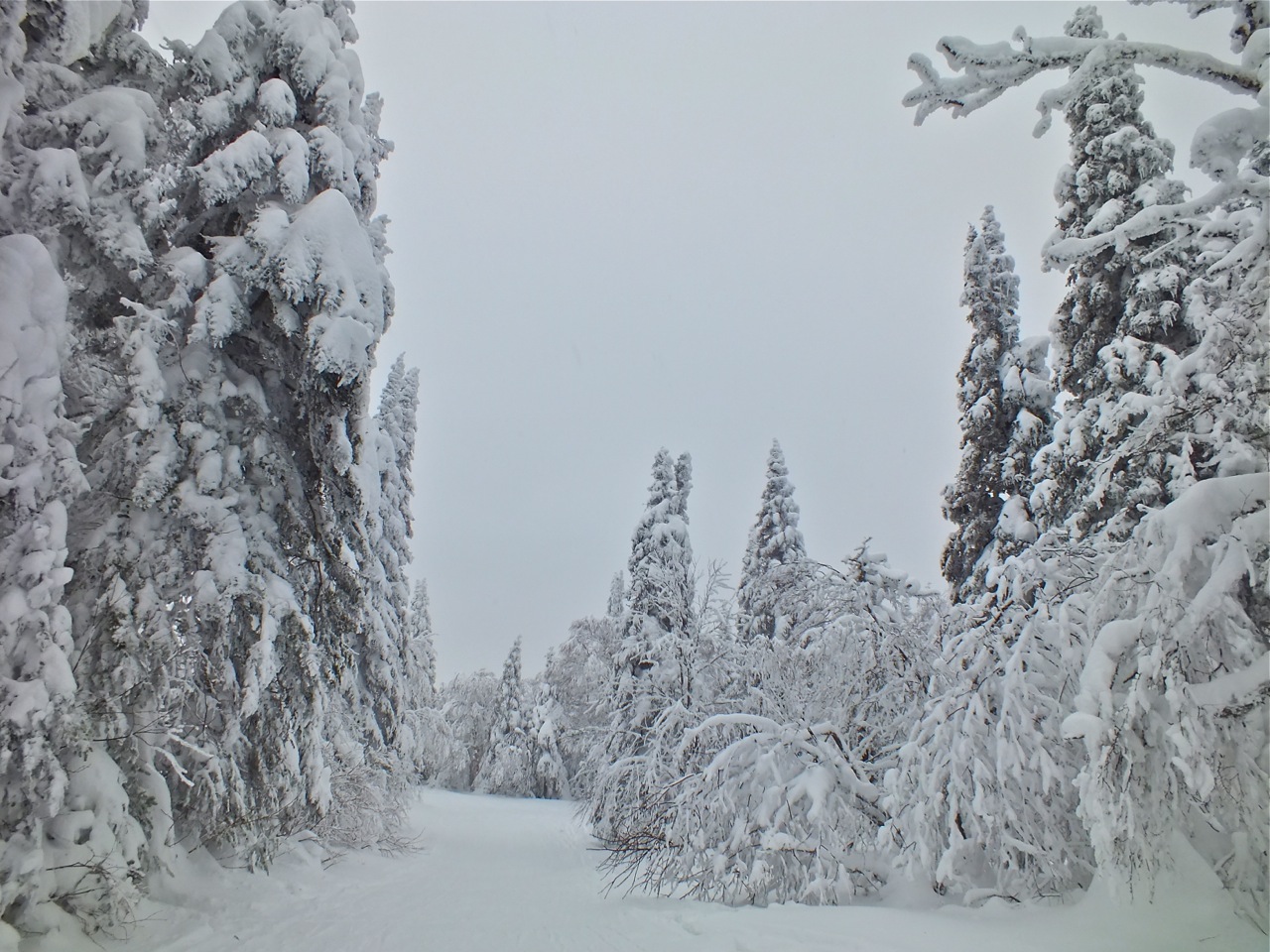 www.tremblant360.com photo. All rights reserved.