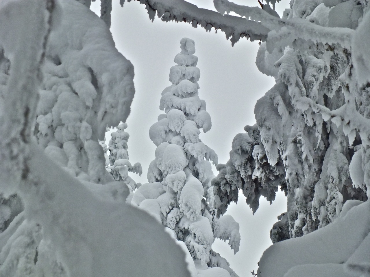 www.tremblant360.com photo. All rights reserved.