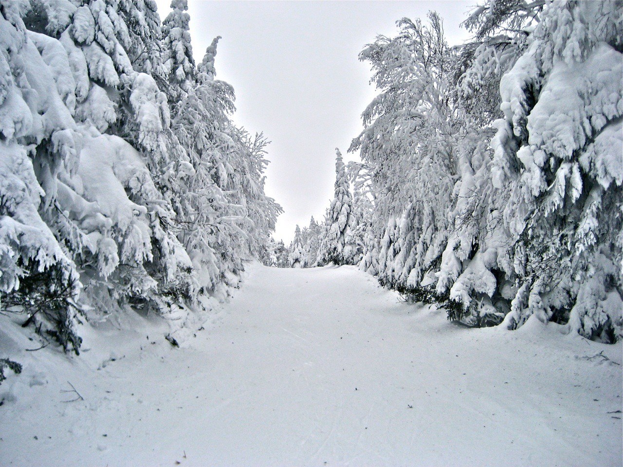 www.tremblant360.com photo. All rights reserved.