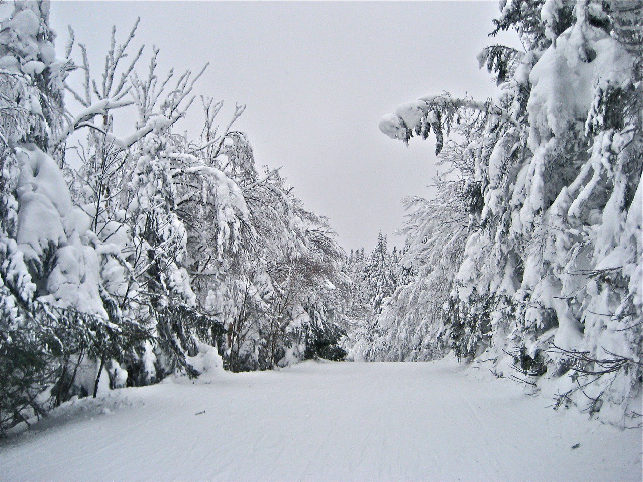 www.tremblant360.com photo. All rights reserved.